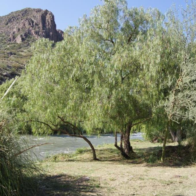 Cabana La Verdicchio Urbanizacion Cristobal Lote 2 Valle Grande  المظهر الخارجي الصورة